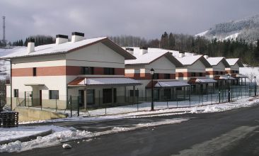Arama